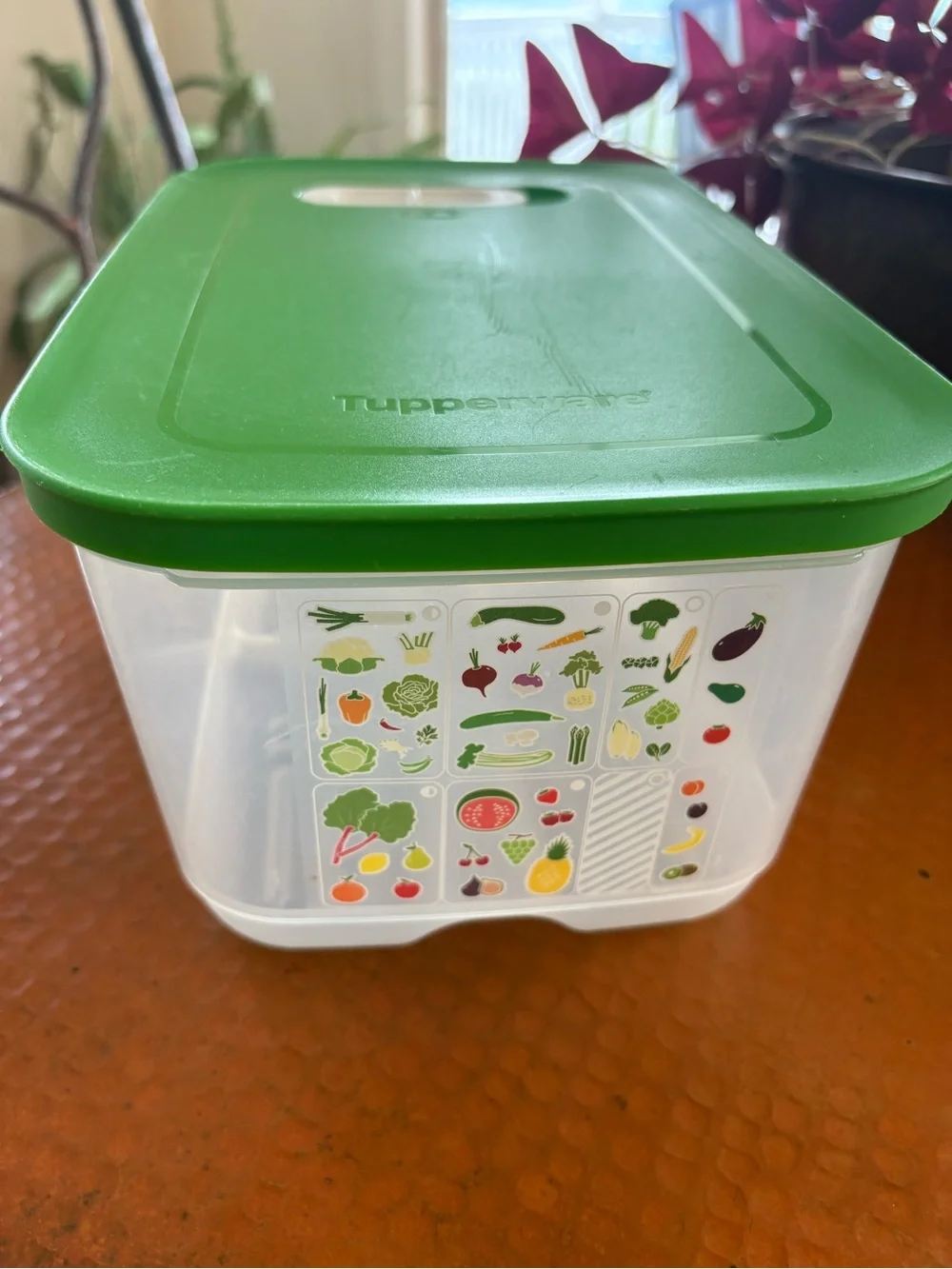 Tupperware Produce Storage Smart FridgeSmart Green Lid Food Storage Container